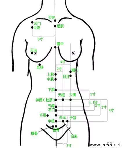 女性腹部经络图图片