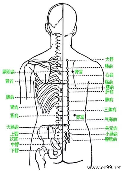 十种常见病和慢性病的穴位按摩法