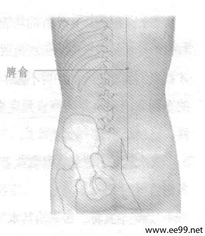 十种常见病和慢性病的穴位按摩法