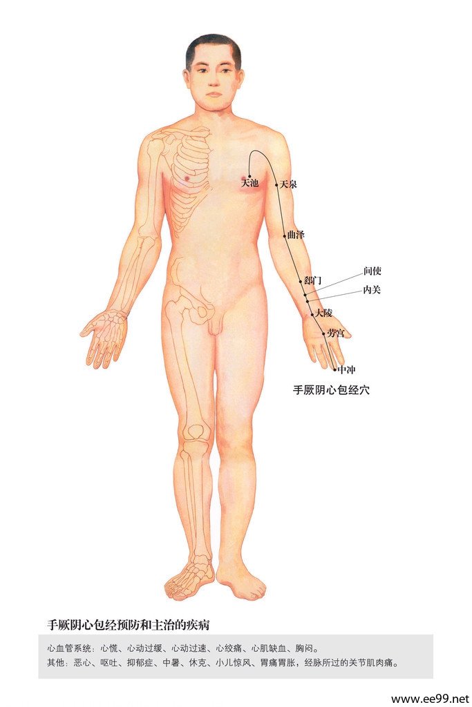 手厥阴心包经,心包经经络图