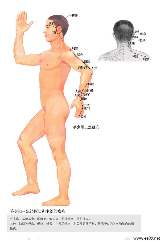 手少阳三焦经,经络图
