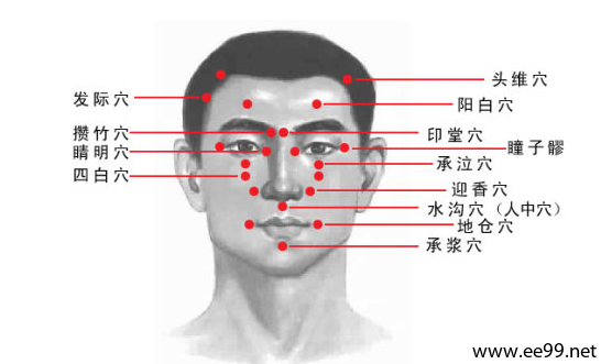 头部穴位图 29大头部穴位图文介绍(位置、主治、感觉)