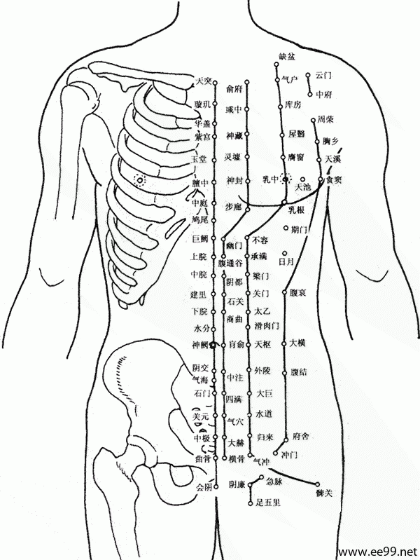 胸上九条经络走向图图片