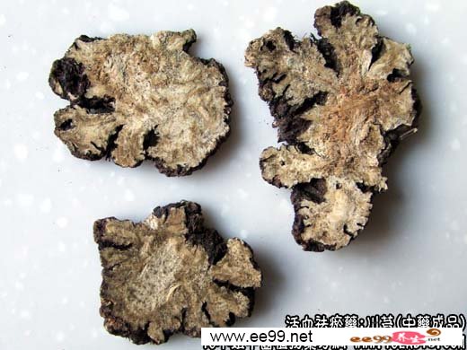中药材:川芎中药成品