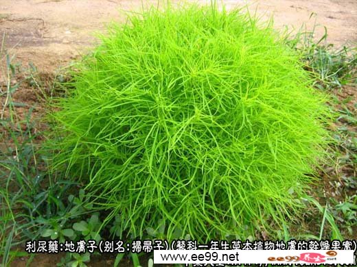 طͼƬ
