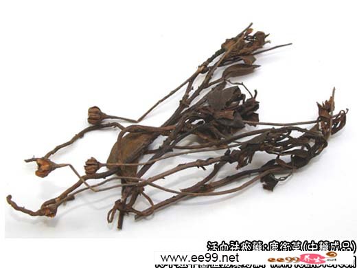 鹿衔草的中药成品图片