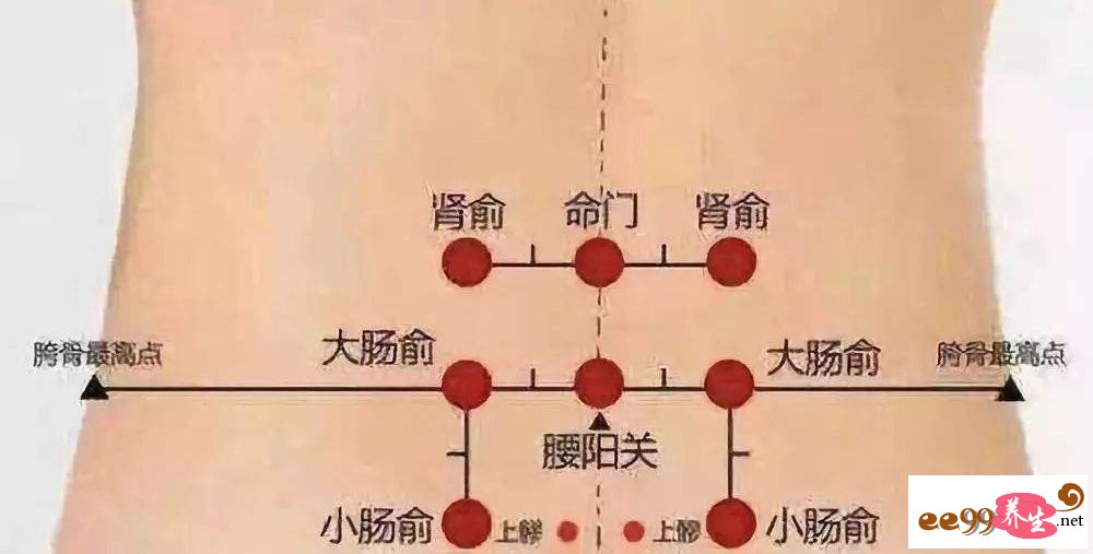 大肠腧肾腧准确位置图图片