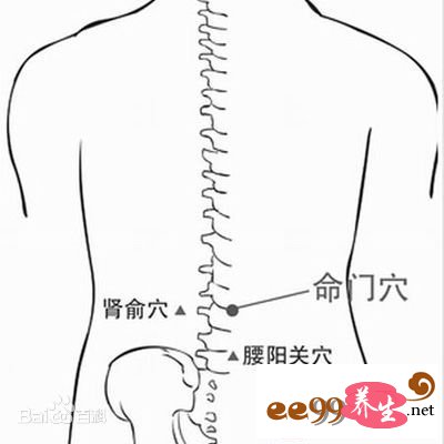 后腰位置图片