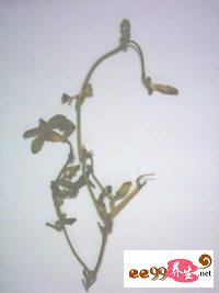 ĸ