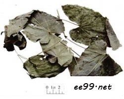 ޽