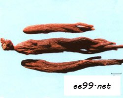 εĹЧ